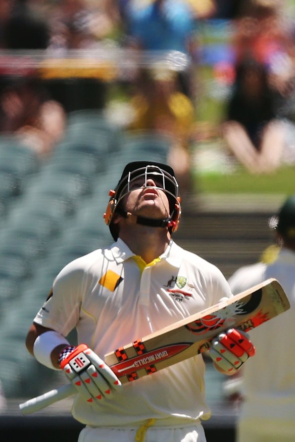 David Warner looks up to the sky in tribute to the late Phillip Hughes after reaching 63.