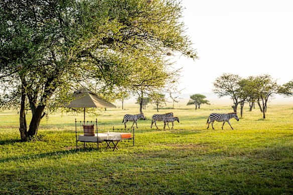 Singita Sabora Tented Camp, Serengeti, Tanzania. 