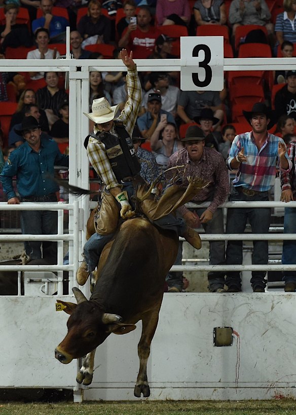 Easter Show Rodeo