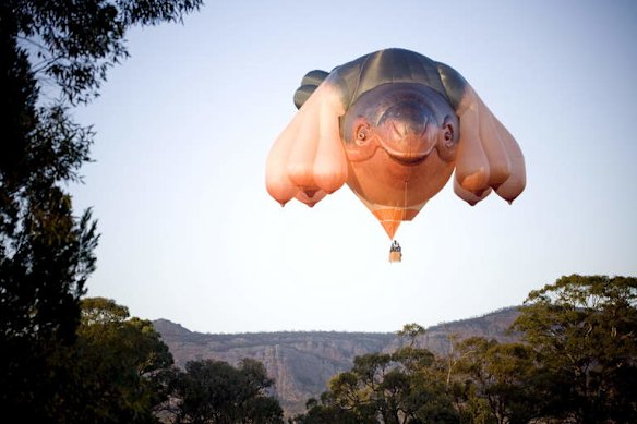 Patricia Piccinini's <i>Skywhale</i> on its test flight over Mt Arapiles in western Victoria.