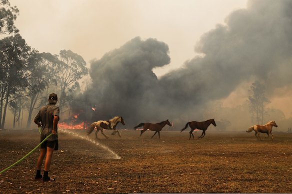 Orangeville residents defend their property as bushfire approaches Orangeville, NSW.