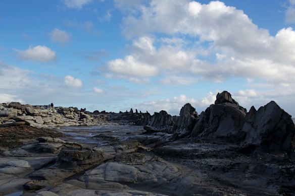 Dragon's Teeth on Maui, Hawaii. 