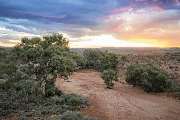 The NSW government has bought two large western NSW properties totalling more than 60,000 hectares - the Lanigdoon and Metford stations - to add to the national parks estate.
