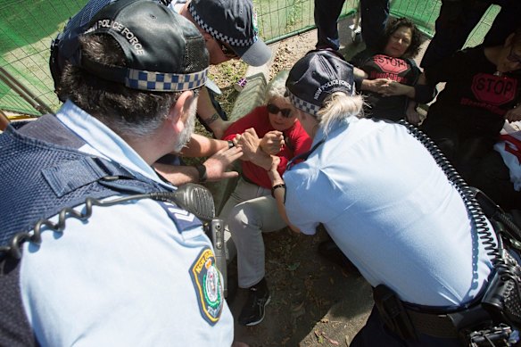 A protester is physically removed by police at St Peters on Friday.
