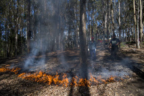 Cultural burning reduces the fuel load and ignites the seedbank held in the ground, according to Indigenous elder Sonny Timbery.