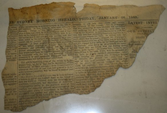 Fragment of the Sydney Morning Herald from January 26, 1883, found inside a sunfish, a Mola Ramsayi, during conservation work at the Natural History Museum, London, in 2016.
