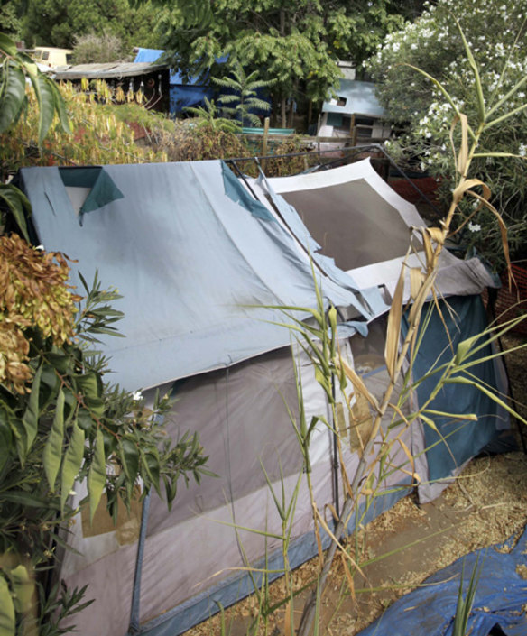 A tent and shacks are shown in the backyards of a home in Antioch, California, where authorities say kidnapped victim Jaycee Lee Dugard lived. 