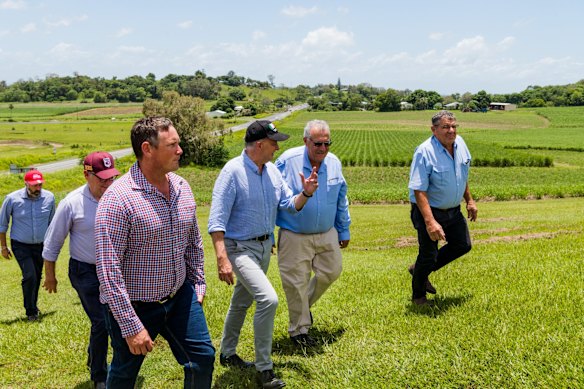 Albanese and his Labor colleagues visit a cane farm in Mackay with local canegrower industry representatives.