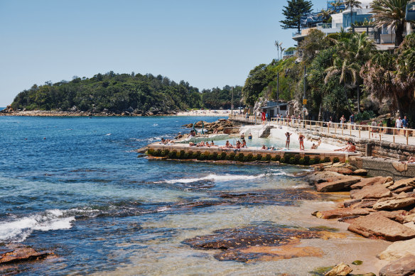 Reef Design Lab’s Living Seawalls at Fairy Bower beach in Sydney.