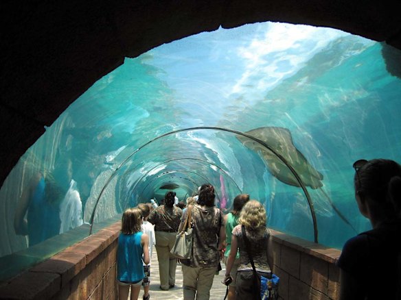 Visitors stroll through a tank of rays and other marine life at the Atlantis Paradise Island Resort in the Bahamas. 