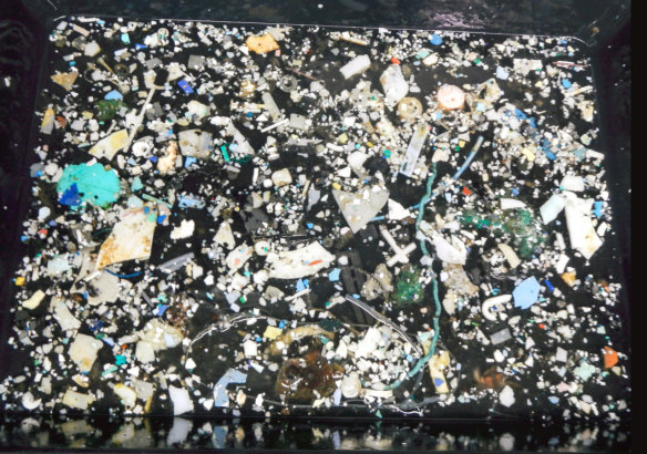 A sampling of plastic from the Great Pacific Garbage Patch.
