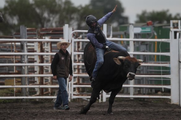 Bull riding and hot yoga: a day in the life of Budd Williamson