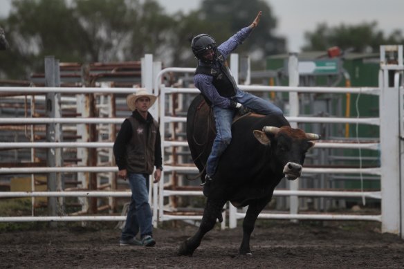 The Australian bull riding team practising before this weekend's PBR global cup.