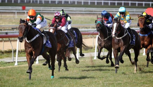 There are seven races scheduled in Goulburn today.
