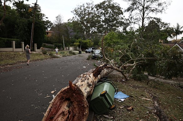 Warwick Street in Killara after a storm passed in Sydney.