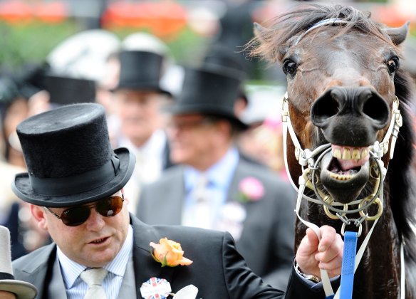 Trainer Peter Moody with Black Caviar after her win at Royal Ascot in 2012.