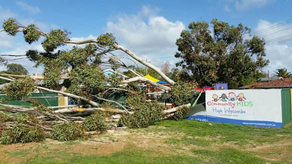 A tree took out the playground at this High Wycombe daycare centre.