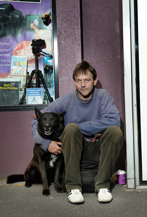 Homeless pets