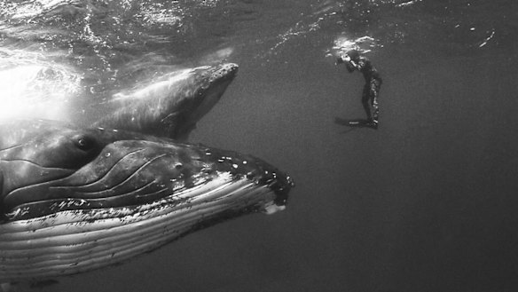 Jem Cresswell while shooting the Giants series. 
