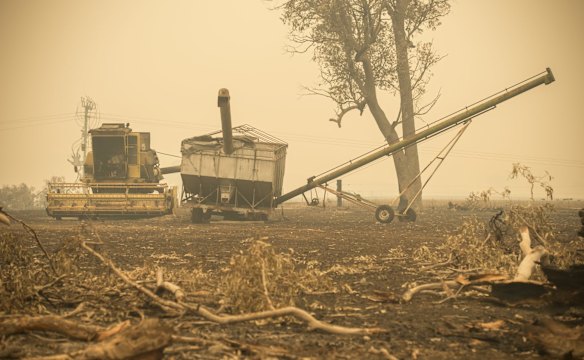Destruction within the Carrai East fire ground at Willawarrin.