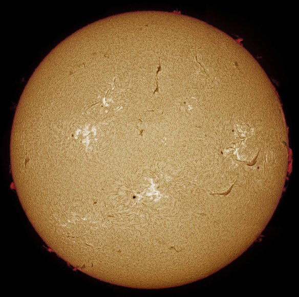 2012 New Scientist Eureka Prize for Science Photography Top Ten. Towards Solar Maximum. Our sun enters a period of maximum activity every 11 years, with its chromosphere showing prominences, flares and sunspots. This high-resolution, full solar disk in Hydrogen Alpha light was captured by Peter Ward and shows all of these dynamics within the solar atmosphere.