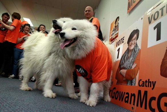 Cathy's press conference.
