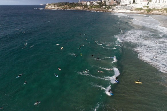Swimming and surfing have been allowed back at Bondi beach.