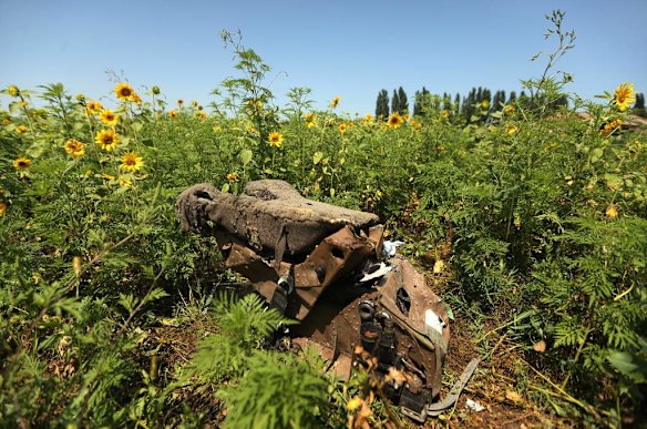 One of the pilots seats at one of the sites where the front section of Malaysian flight MH17 crashed.