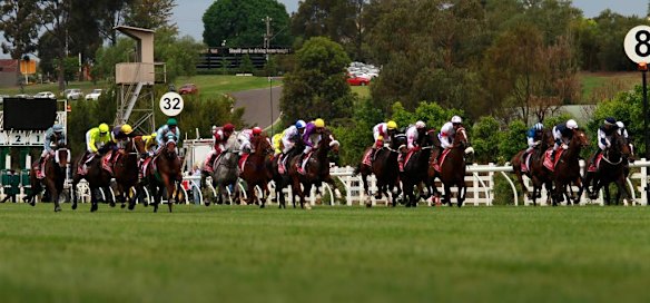 The Melbourne Cup field runs down the straight for the first time.
