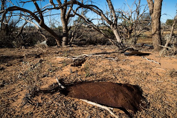 Rusting ornate tin remains on Narriearra Homestead.