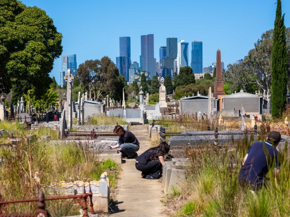 A community planting day at Melbourne General Cemetery, just a stone’s throw from the CBD.