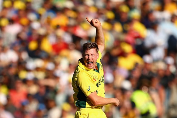 MELBOURNE, AUSTRALIA - MARCH 29:  James Faulkner of Australia celebrates dismissing Ross Taylor of New Zealand during the 2015 ICC Cricket World Cup final match between Australia and New Zealand at Melbourne Cricket Ground on March 29, 2015 in Melbourne, Australia. 