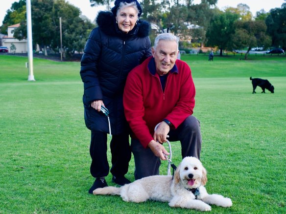 Dogs give the balance we all need in our lives, says Marilyn.