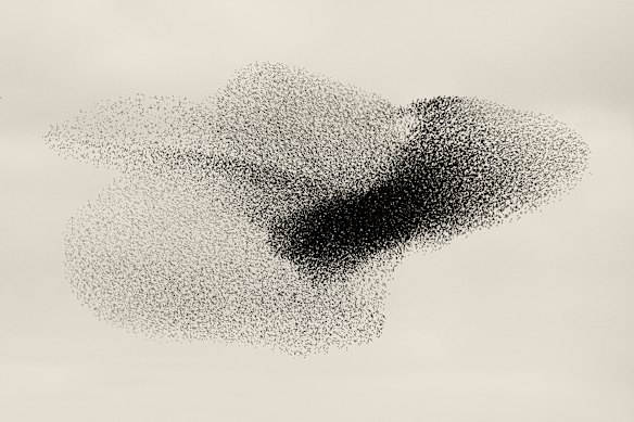 Black Sun #136, the Netherlands.