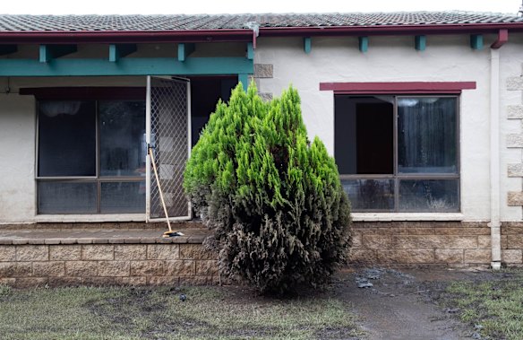 A tree in Wardell shows the level to which the flood waters rose, in the Northern Rivers region of NSW. 