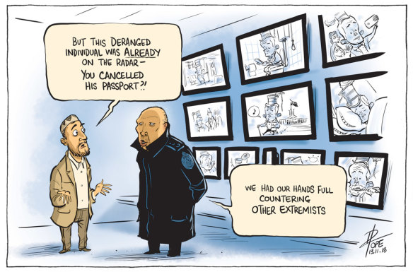 The Canberra Times' editorial cartoon for Tuesday, November 13, 2018.