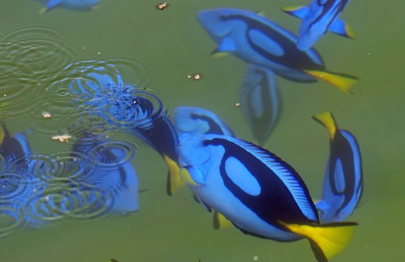 Gallery: The best photos from around the world