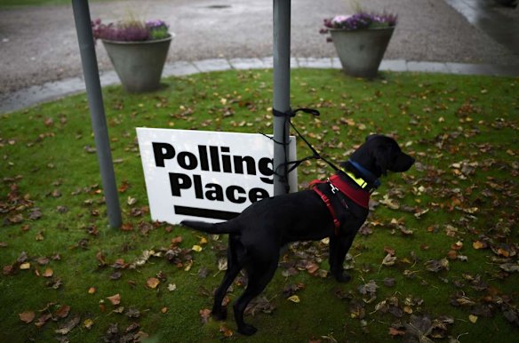 A dog waits for its master to vote outside the Queen's Cross parish church in Aberdeen.