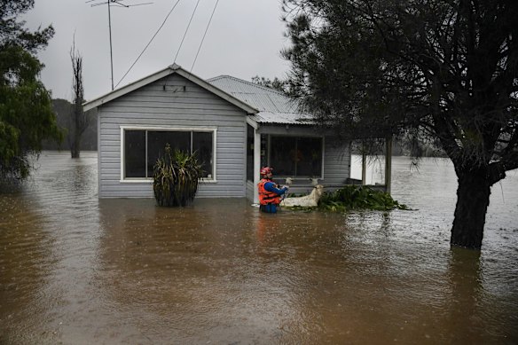 State Emergency Service workers rescue goats from a submerged home in Wallacia.