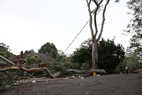 Warwick Street in Killara.
