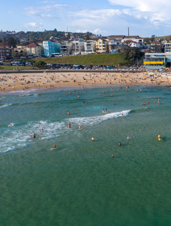 Shark nets installed at Bondi and Bronte beaches do not span the length of the beaches.