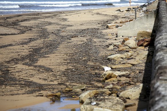 The shoreline at Queenscliff on Sunday.