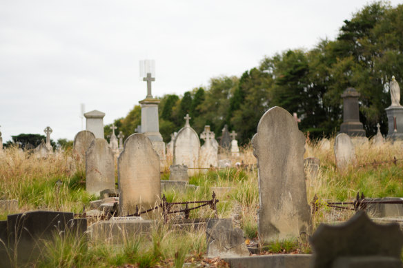 Grasses wind around gravestones at Melbourne General Cemetery.