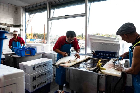 A fishmonger fillets a fish at the Sydney Fish Market. Seafood sales are expected to soar over the Christams period.
