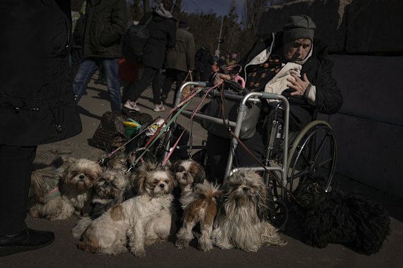 Antonina, 84, sits in a wheelchair after being evacuated along with her twelve dogs from Irpin, at a triage point in Kyiv, Ukraine.