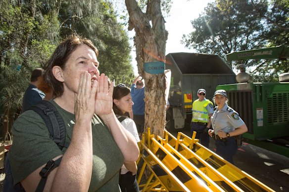 A woman screams in protest against logging crews as they enter to fell trees.