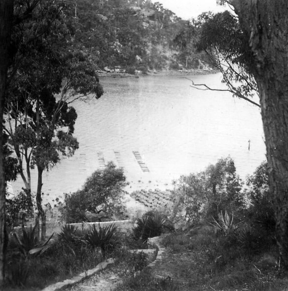 The Glenlee property on the Georges River pictured in the 1920s.