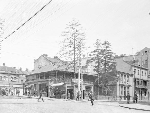 Hunter and Castlereagh streets, 1907. This intersection was known as Bowden's Corner. Thomas Kite from Bathurst built a city residence here in the 1840s, which later became a pub run by Mrs Bowden. The diminutive corner building was a landmark because a large Norfolk Pine grew through the middle of it, which was used as a coat rack for the hotel patrons. The building and tree were demolished in 1909.