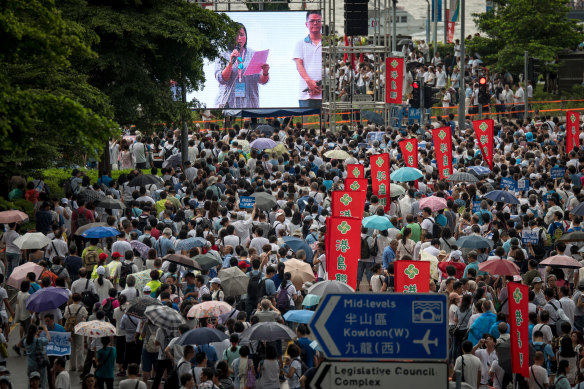 Demonstrators gather at Tamar Park during the pro-government Safeguard Hong Kong Rally in Hong Kong.