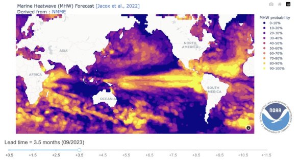 NOAA’s three-month prediction of marine heatwaves through to September. The lighter yellow colours correspond to a 90 to 100 per cent chance of heatwaves (including over parts of the Great Barrier Reef).